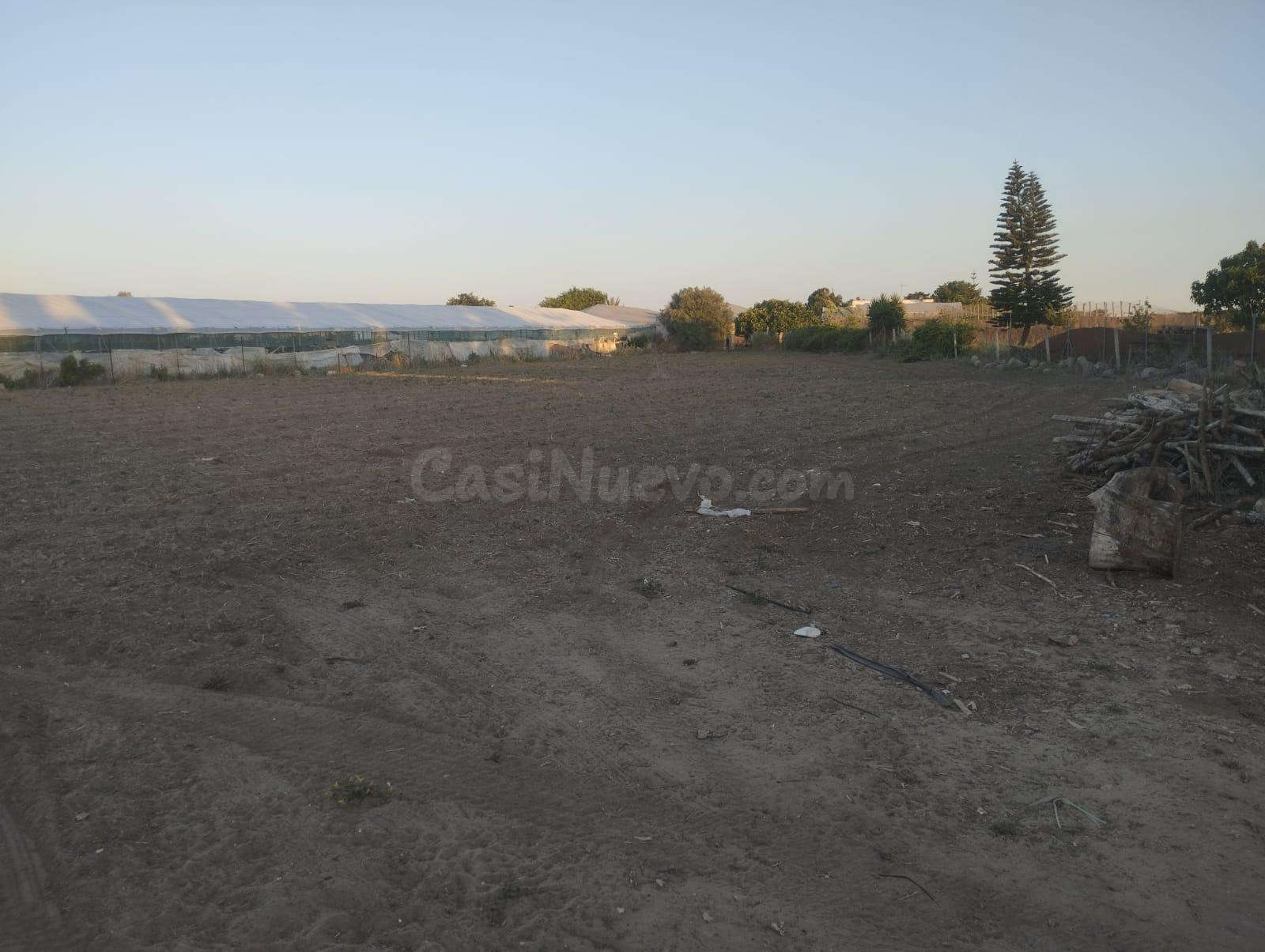 Terreno Rústico 30m² en venta - La Jara