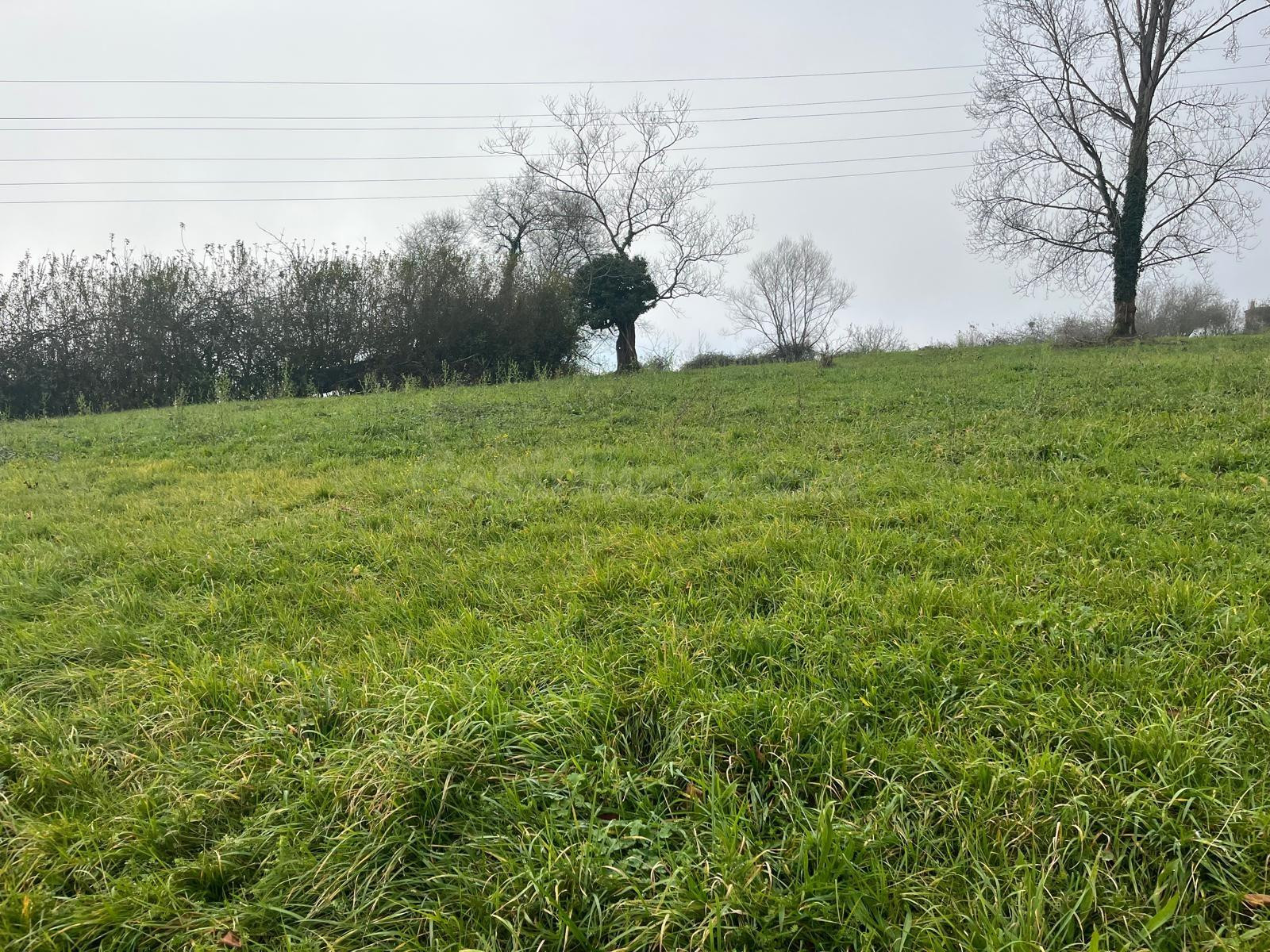 Terreno urbanizable en venta - La Felguera