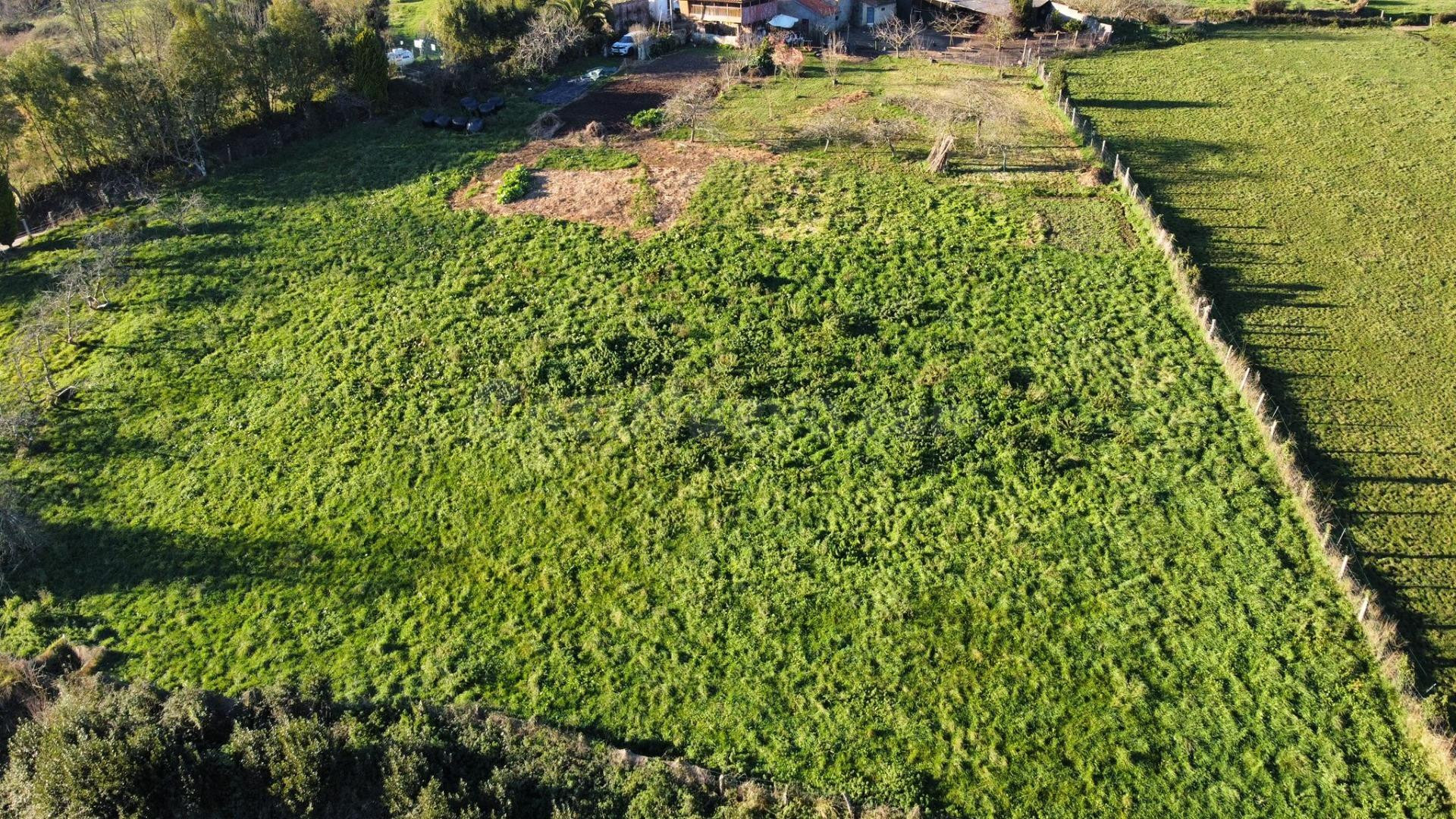 Terreno urbanizable en venta - Santullano - foto 5