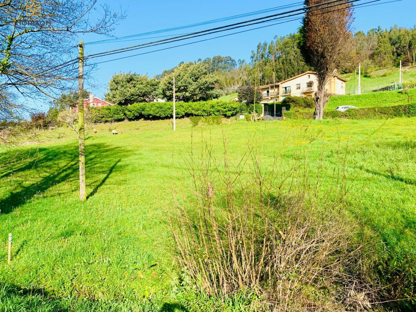 Parcela en venta - Carreño