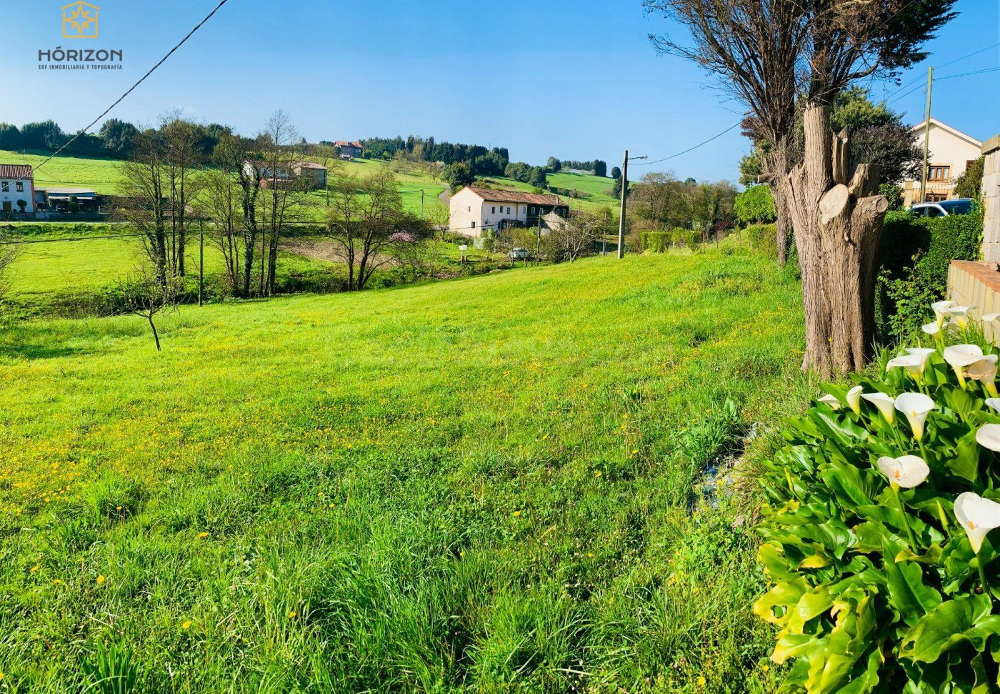 Parcela en venta - Carreño - foto 3