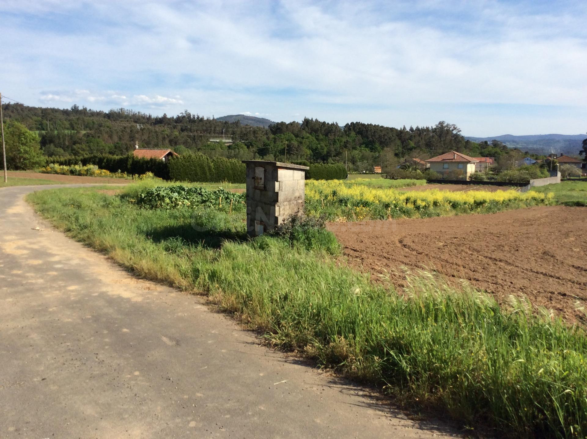 Terreno Rústico en venta - Estrada A