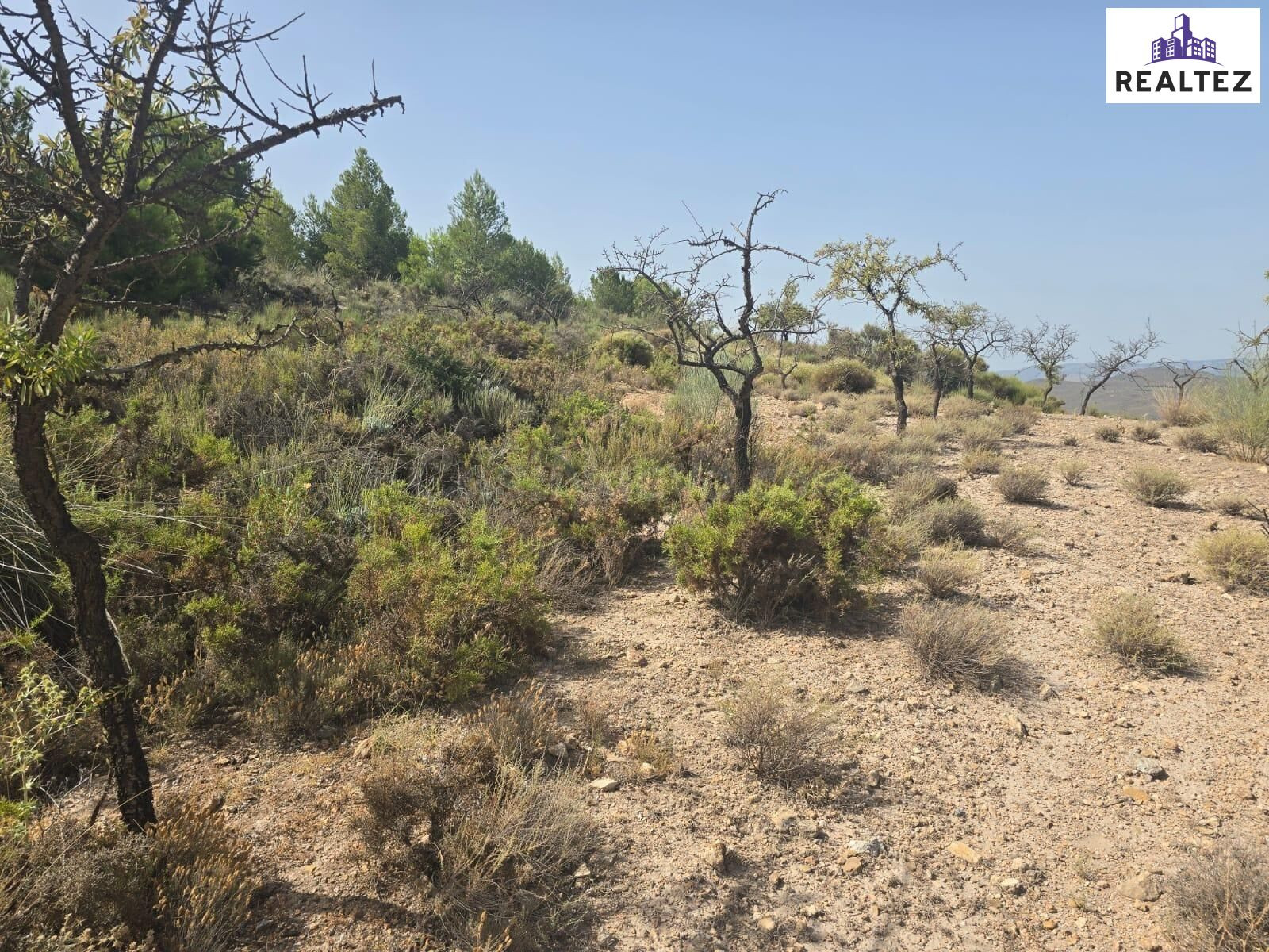 Terreno Rústico en venta - Alpujarra almeriense - foto 3