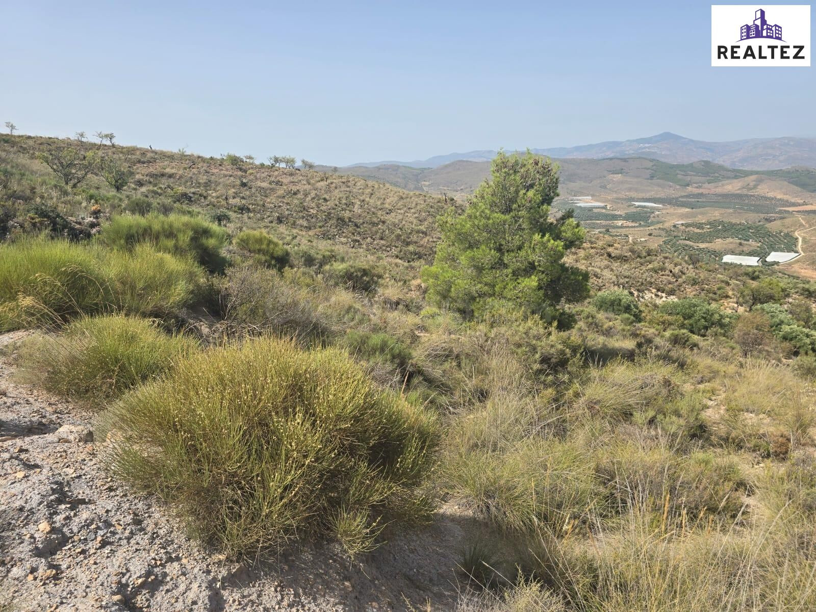 Terreno Rústico en venta - Alpujarra almeriense - foto 5