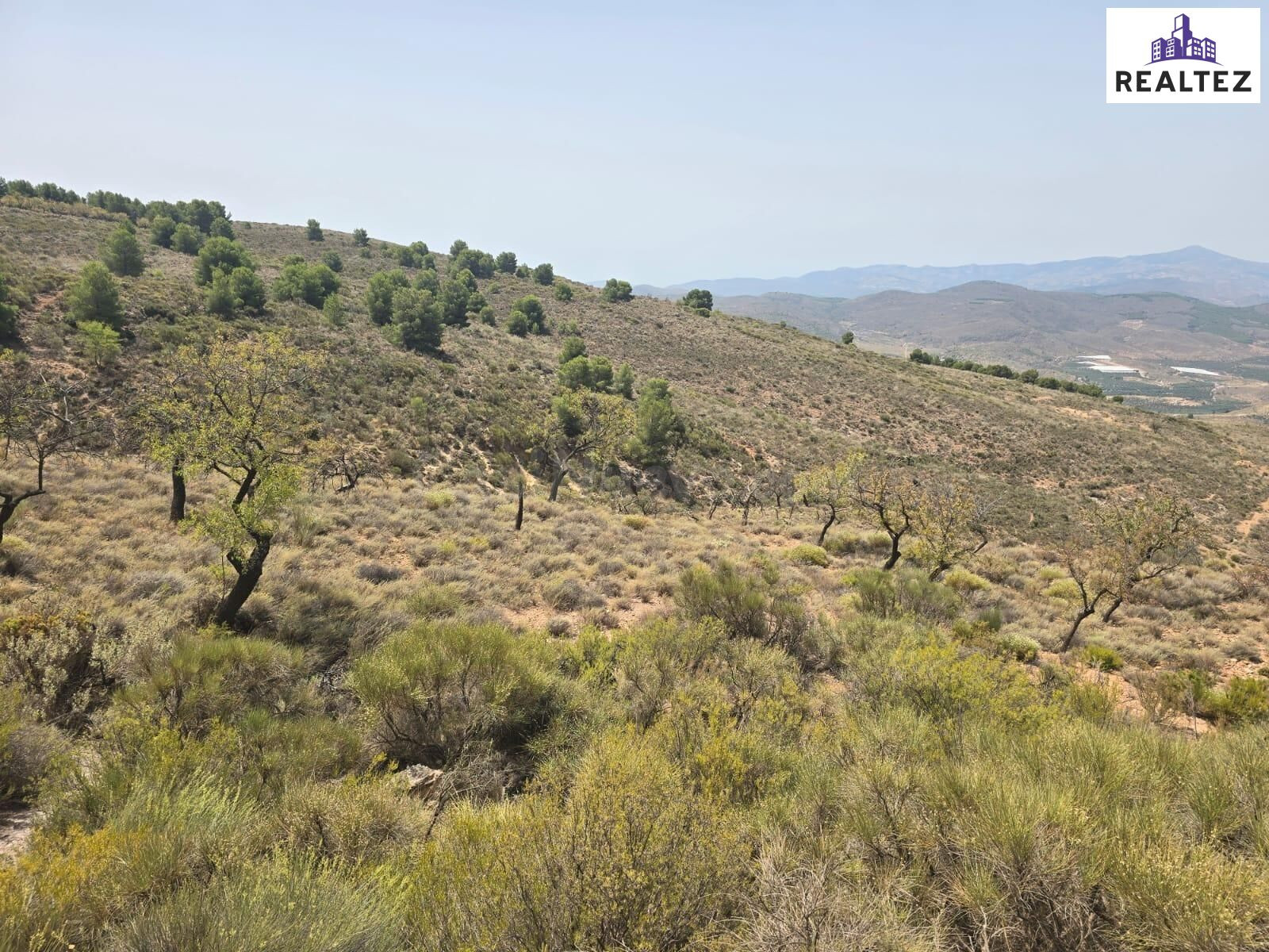 Terreno Rústico en venta - Alpujarra almeriense - foto 2