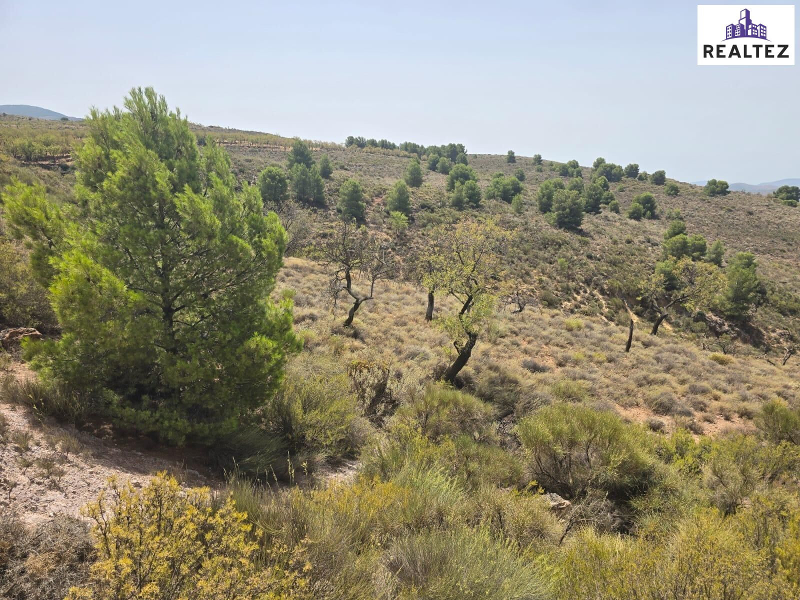 Terreno Rústico en venta - Alpujarra almeriense - foto 3