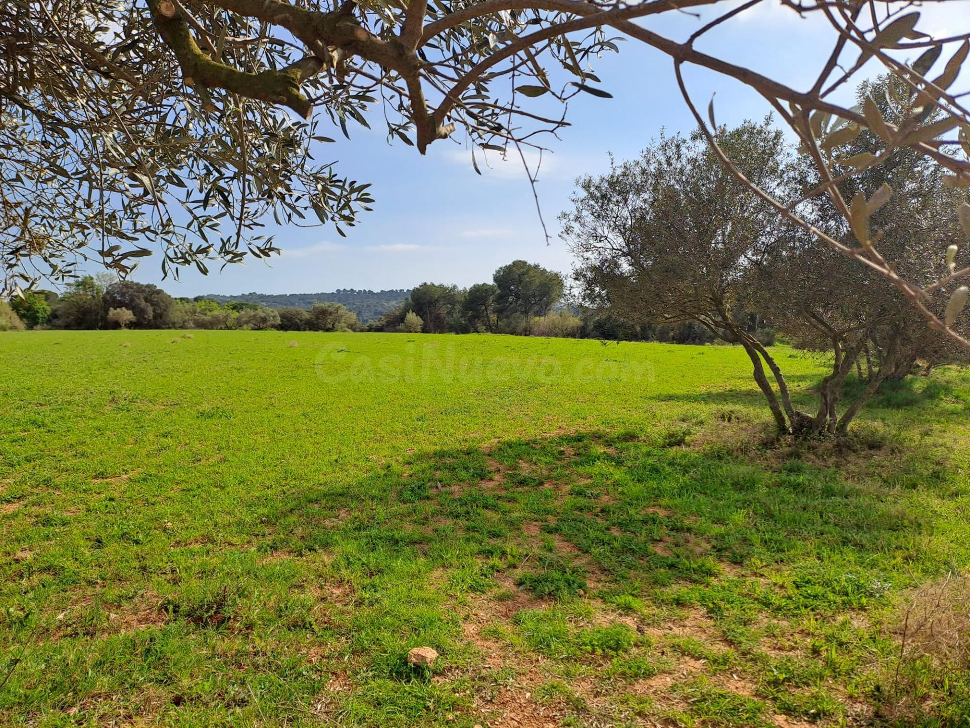 Terreno rural 13397m² en venta - Terrassa