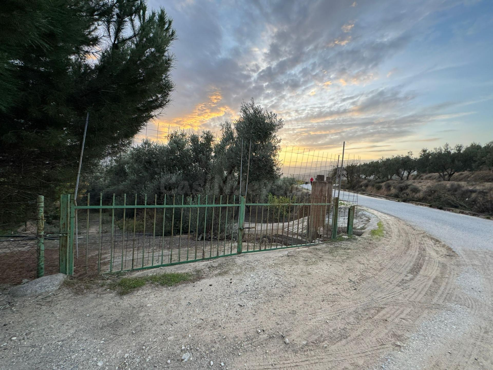 Terreno rural en venta - Murchas