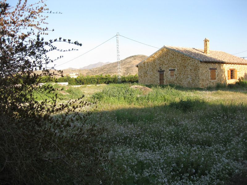 Chalet 3 habitaciones 150m² en venta - Molins