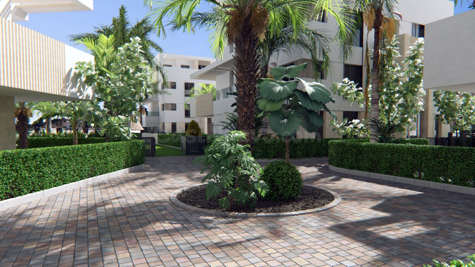 Ático 3 habitaciones 112m² en venta - Dolores de Pacheco-Santa Rosalía