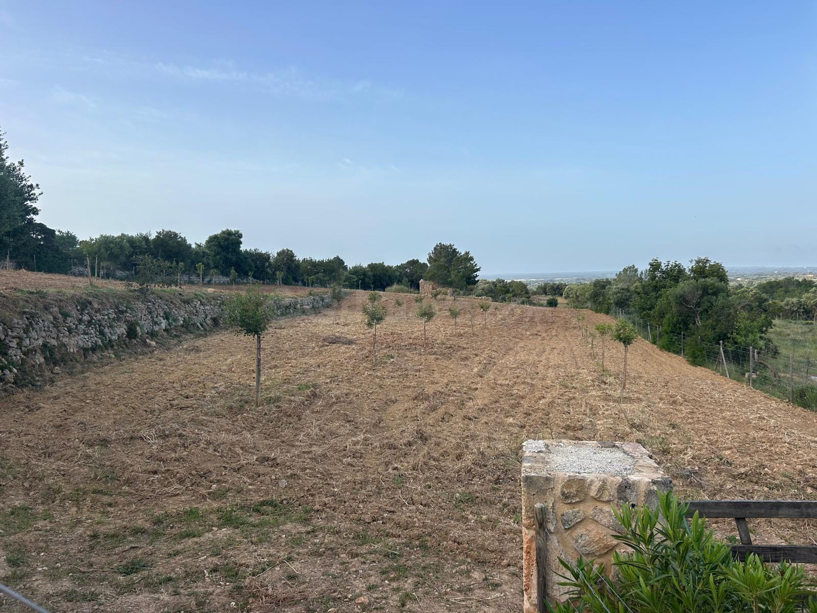 FINCA RÚSTICA EN LLUCMAJOR (SON MIQUEL JOAN)