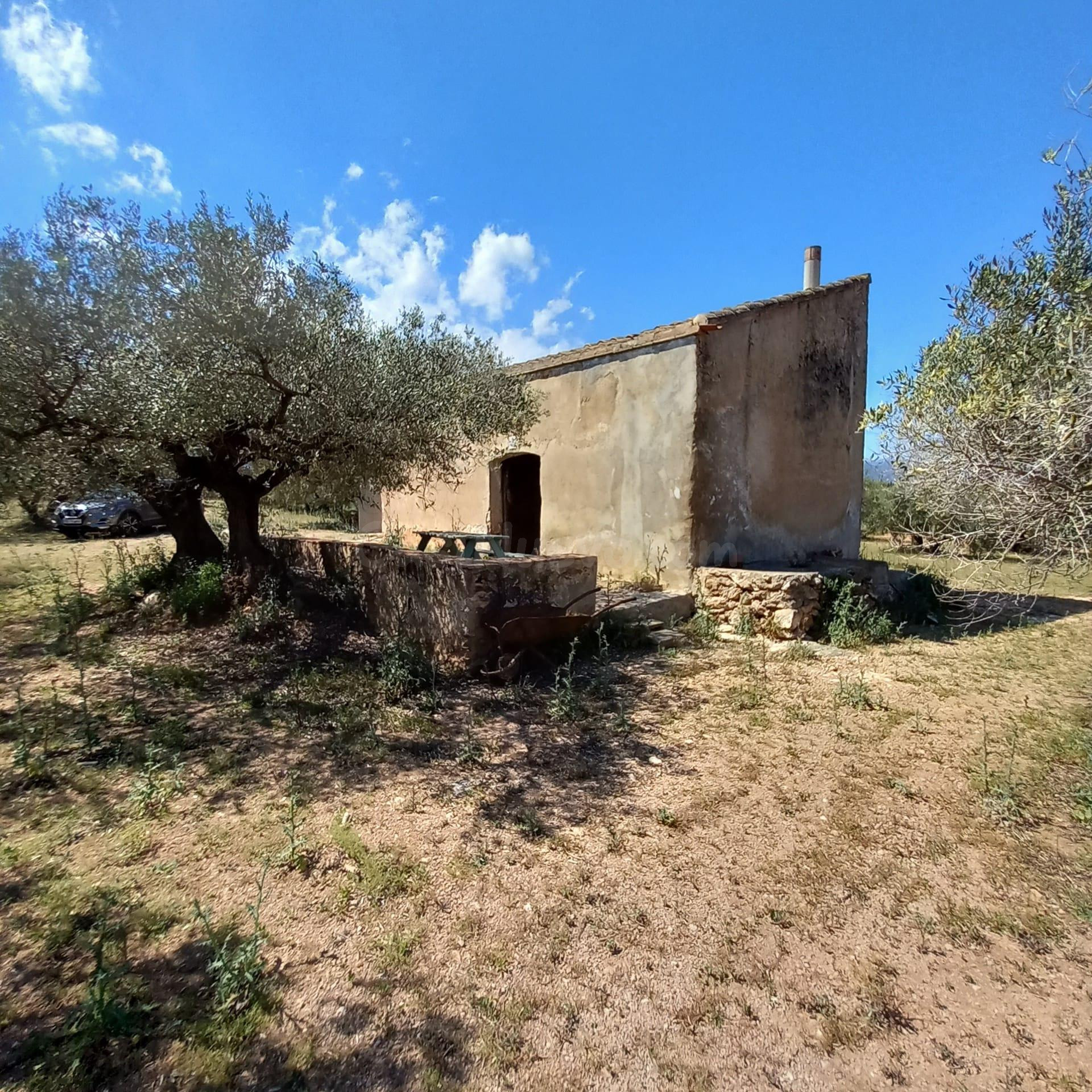Casa de campo y olivar ecológico certificado.