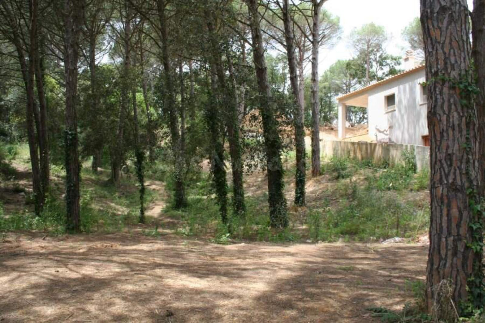 OPORTUNIDAD Parcela edificable en venta en mas Pere Calonge