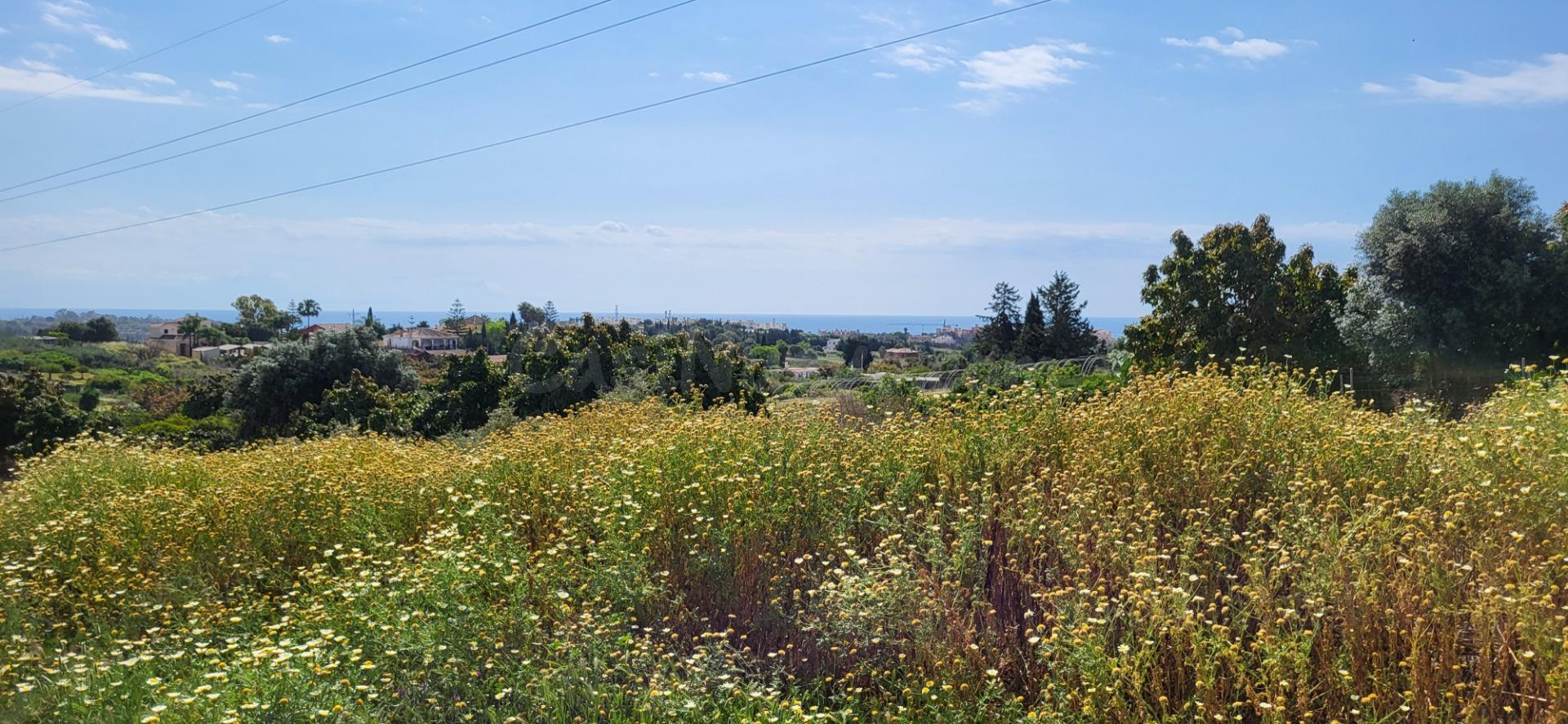 Fantástica finca rústica con vistas al mar en El Padrón – Estepona