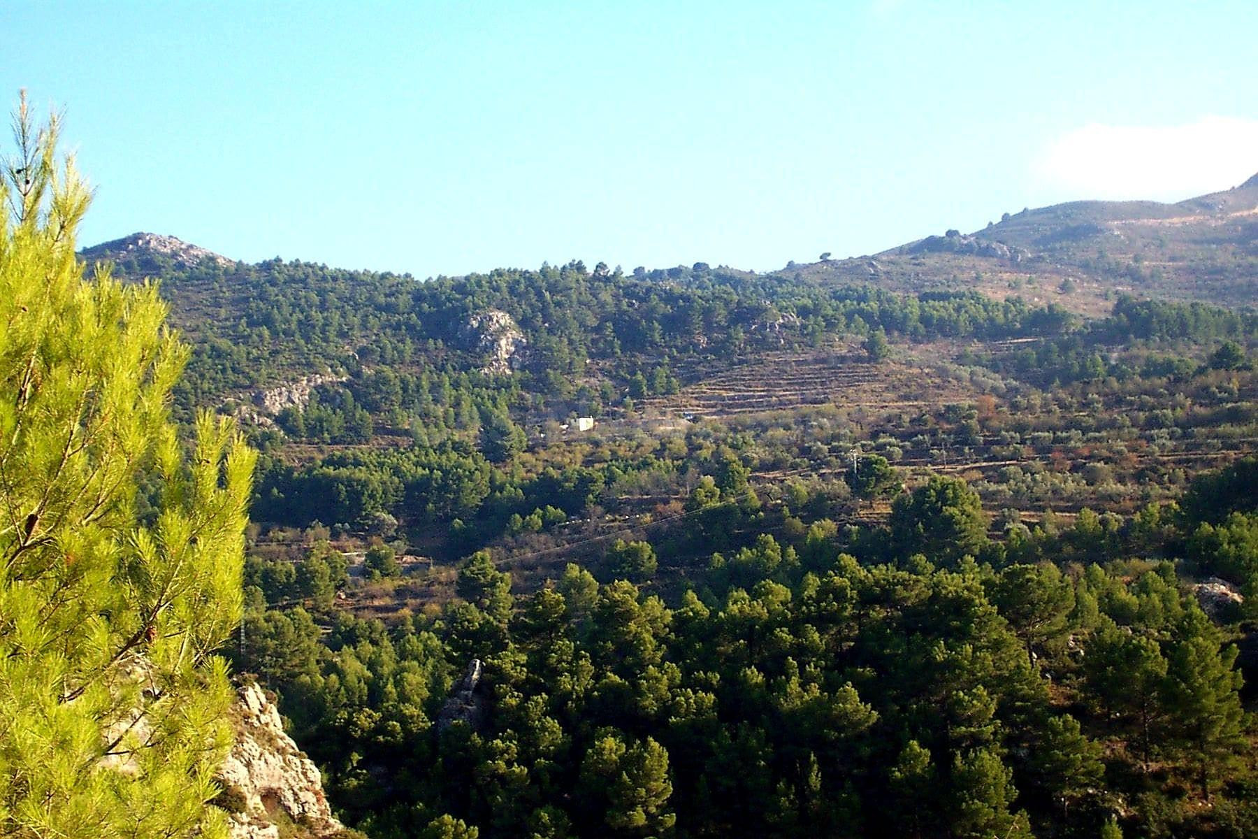 FINCA RÚSTICA EN CONFRIDES (ALICANTE)