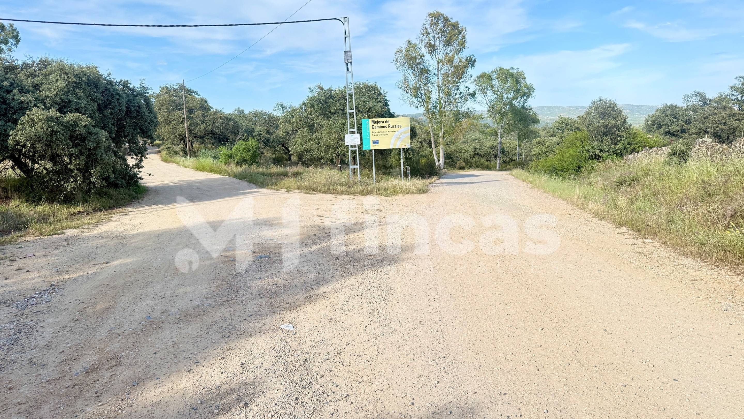 FINCA RÚSTICA CON ENCANTO EN EL RONQUILLO – 8.500 m2 APROX.  - foto 3