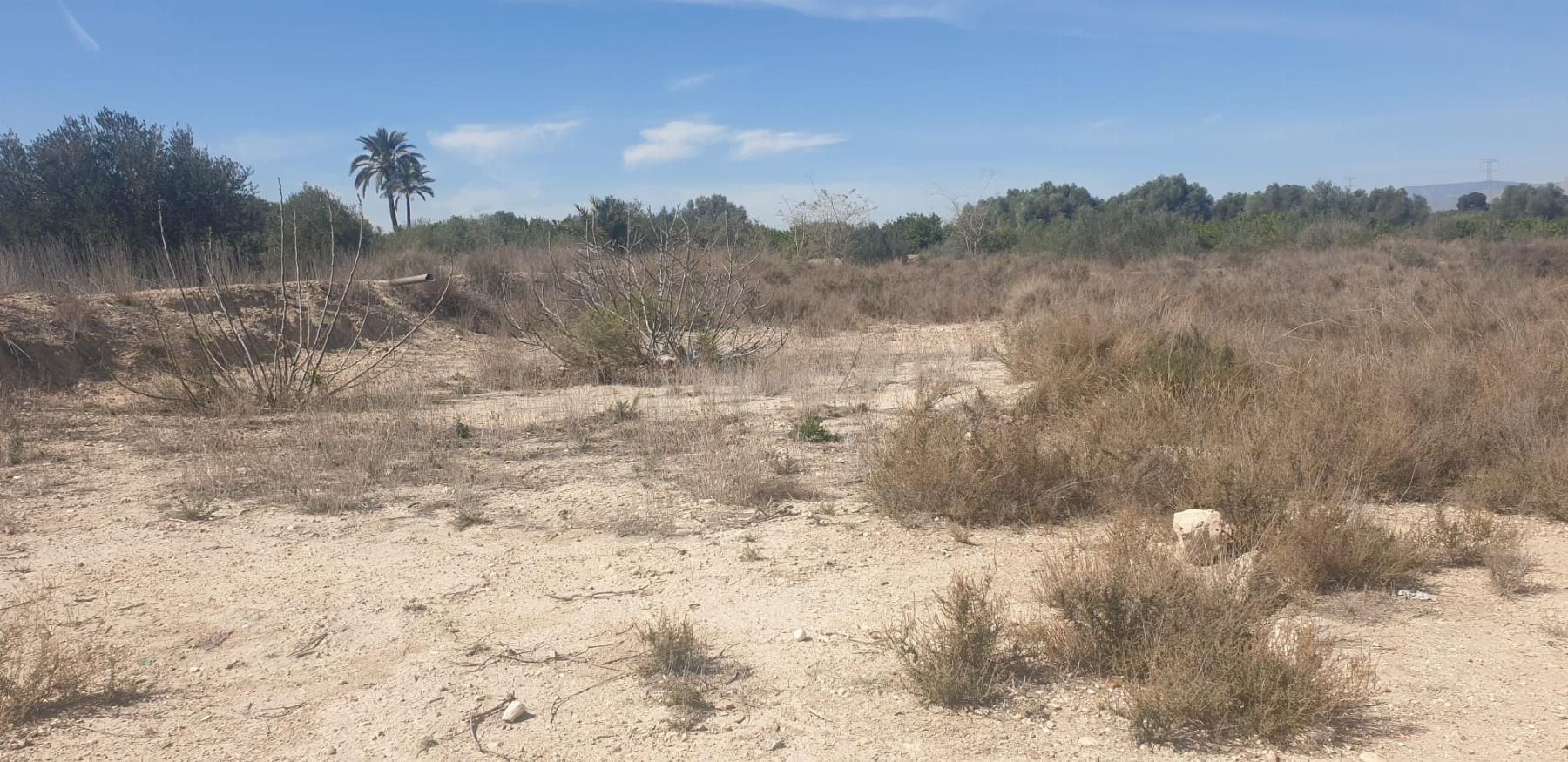 Parcela 1270m² en venta - Comunidad valenciana
