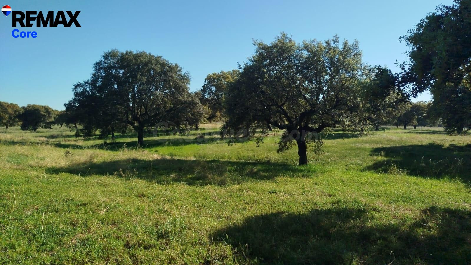 ¡Excelente Finca Mixta Lista para Explotación Inmediata en Alburquerque!