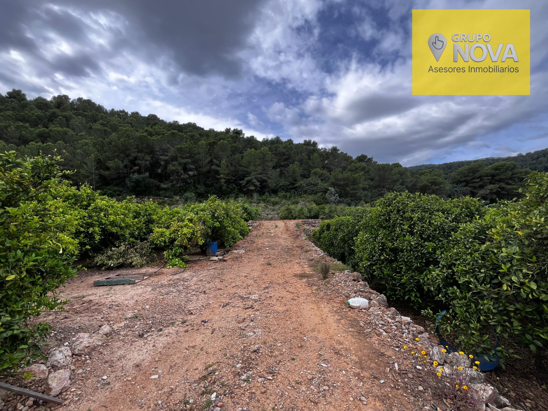 Oportunidad Única: Terreno Rural en Tavernes de la Valldigna