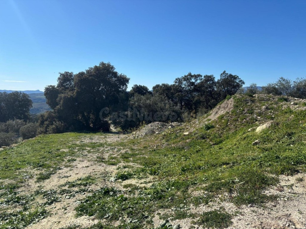 Finca de 1,2 Has con cortijo y nave en Loja