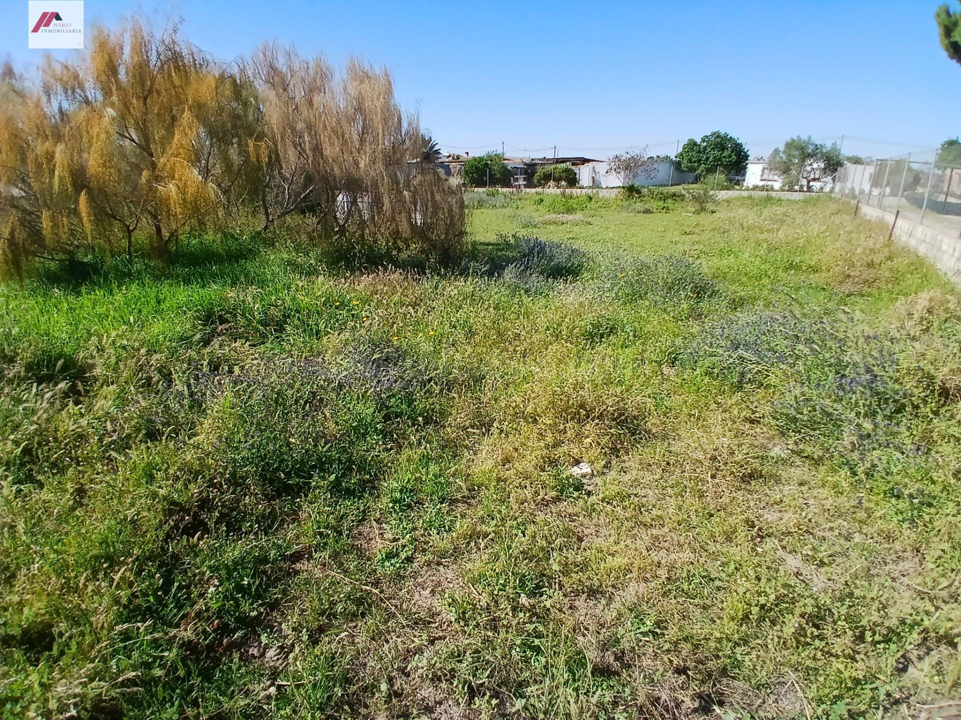 Parcela Rústica de 1500 m2 en San Antonio (Zona La Negra)