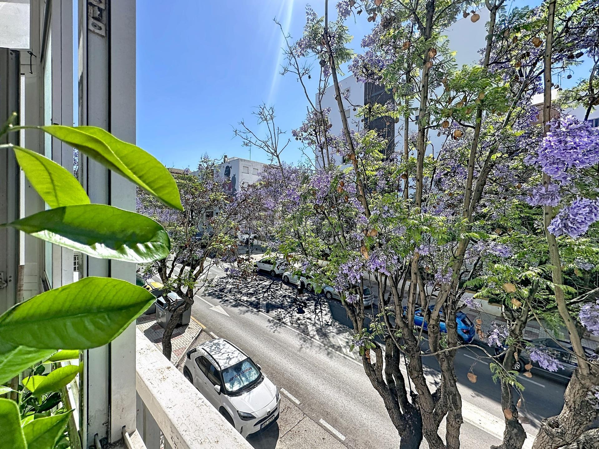 Planta baja 3 habitaciones 110m² en venta - Parque Central