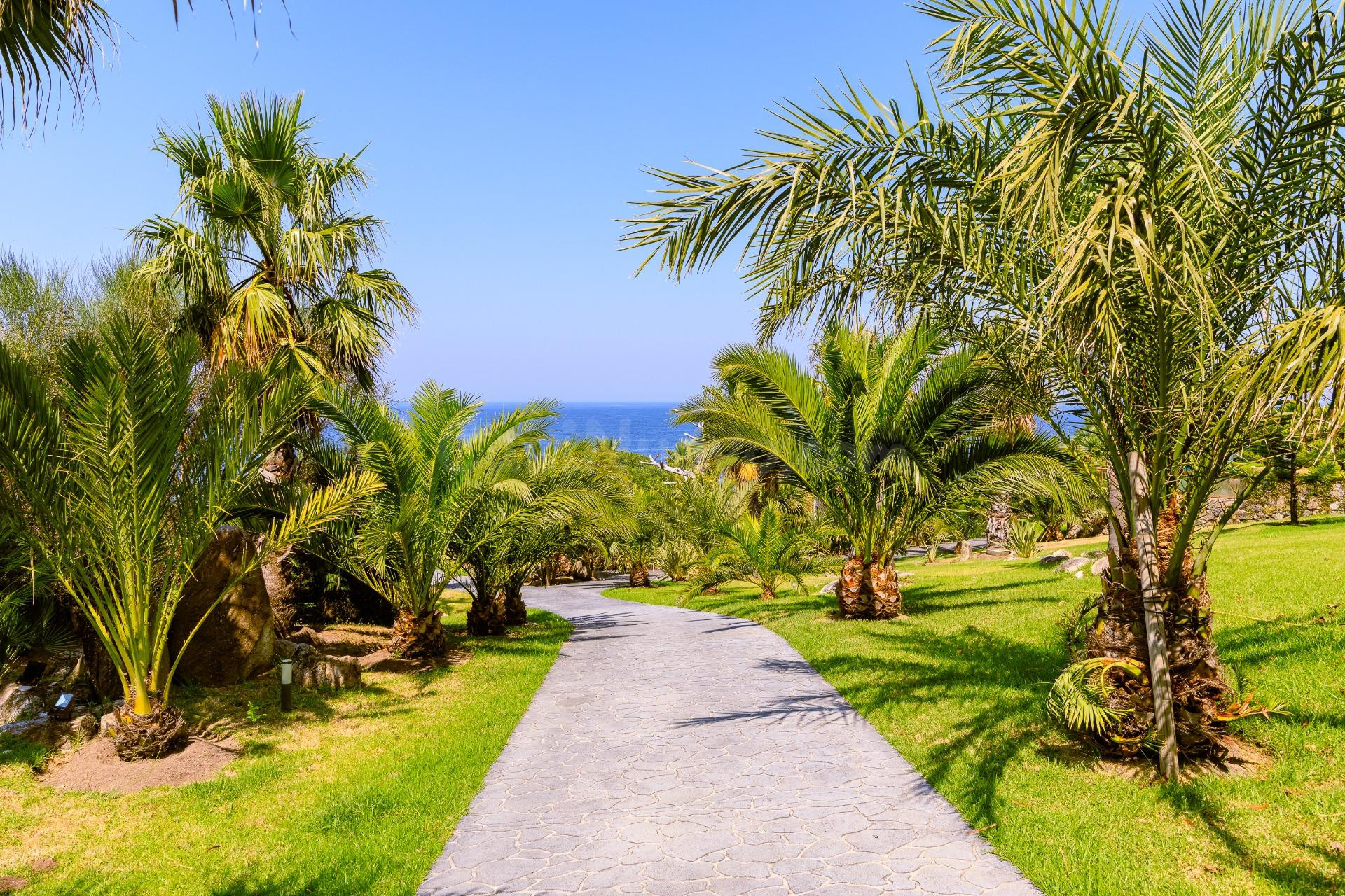 El Secreto Mejor Guardado del Atlántico: Un Oasis Privado de - foto 4