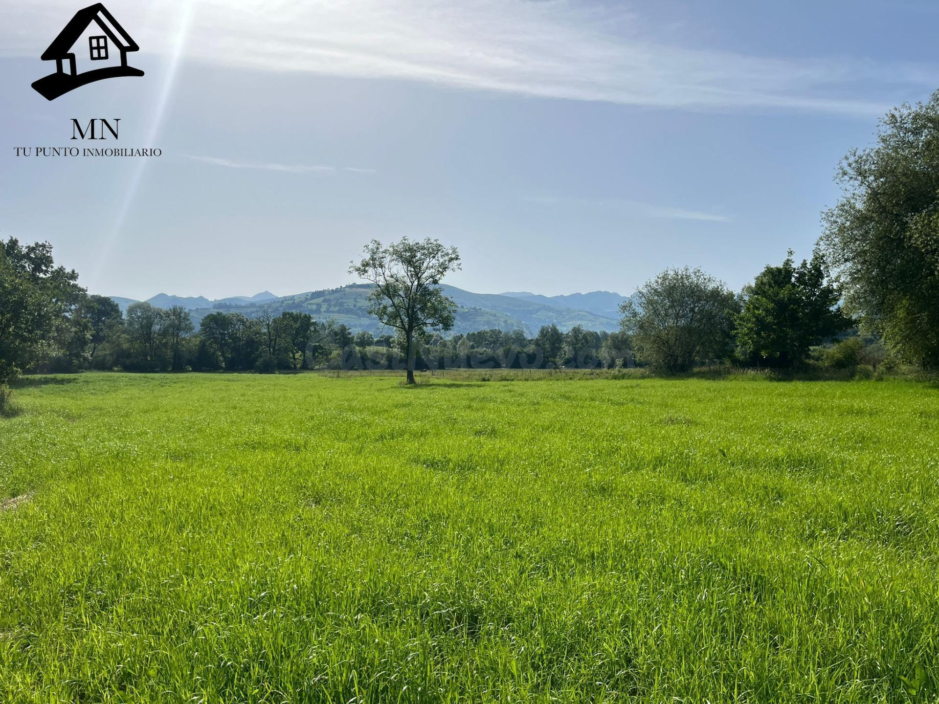 Finca de 3.849 m2 con todos los servicios: ideal para una gran mansión o un proyecto de 2 chalets en Villafufre