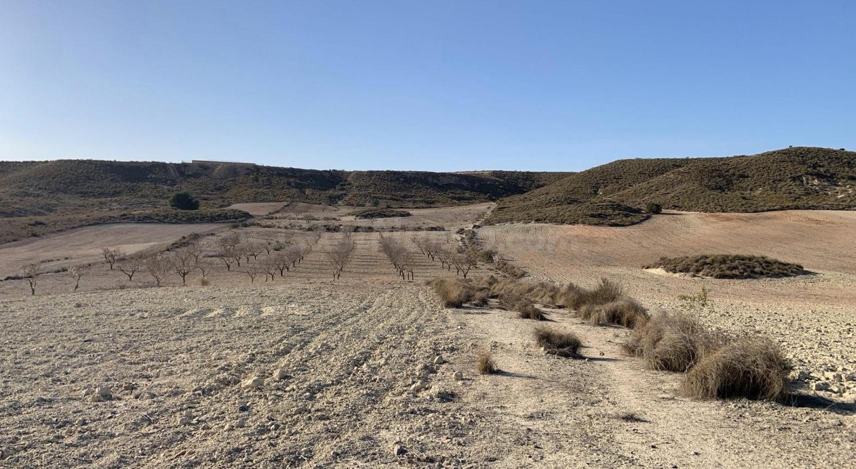 TERRENO RUSTICO EN CAMPOSOL - MAZARRON