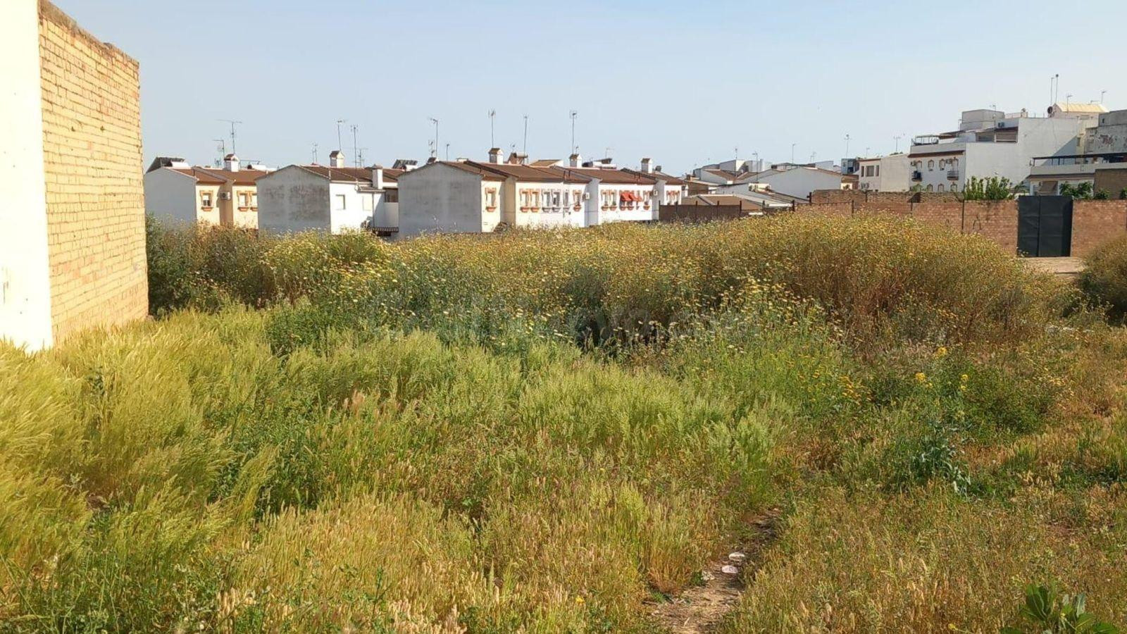 Solar en Bollullos Par del Condado (Huelva)