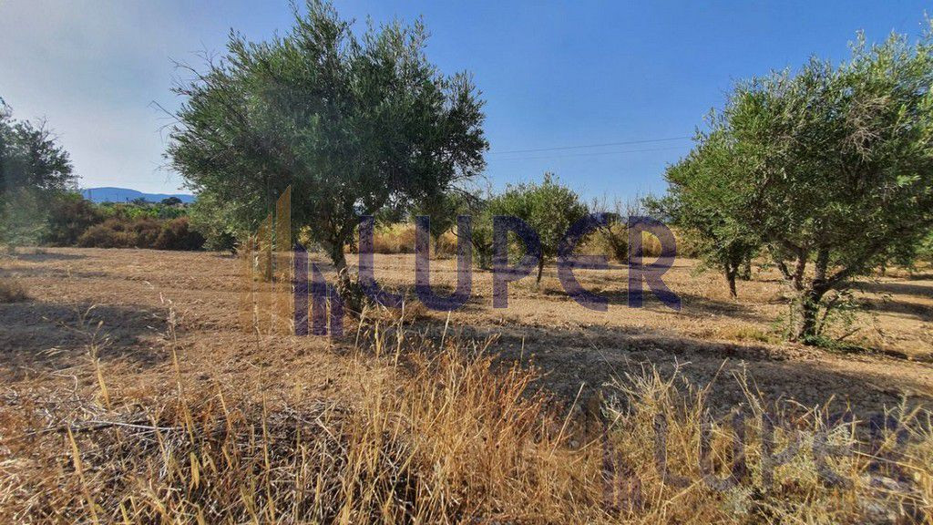 Terreno Rústico en venta - Biar