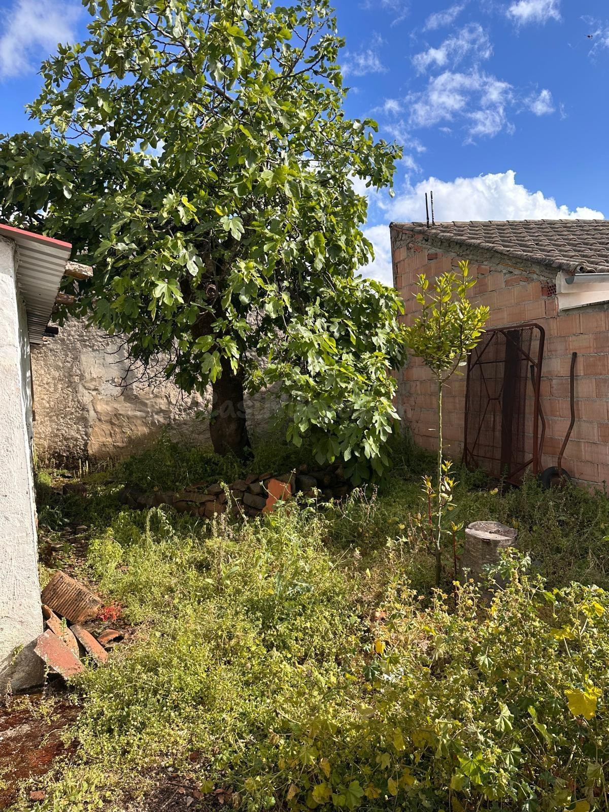 E. Casa en Fuente Obejuna - foto 4