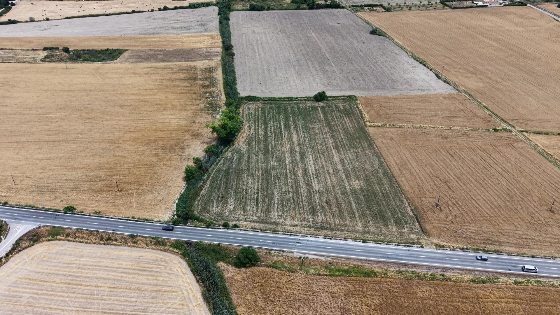 Parcela rústica agrícola de 12.500 m2 en Santa Margalida