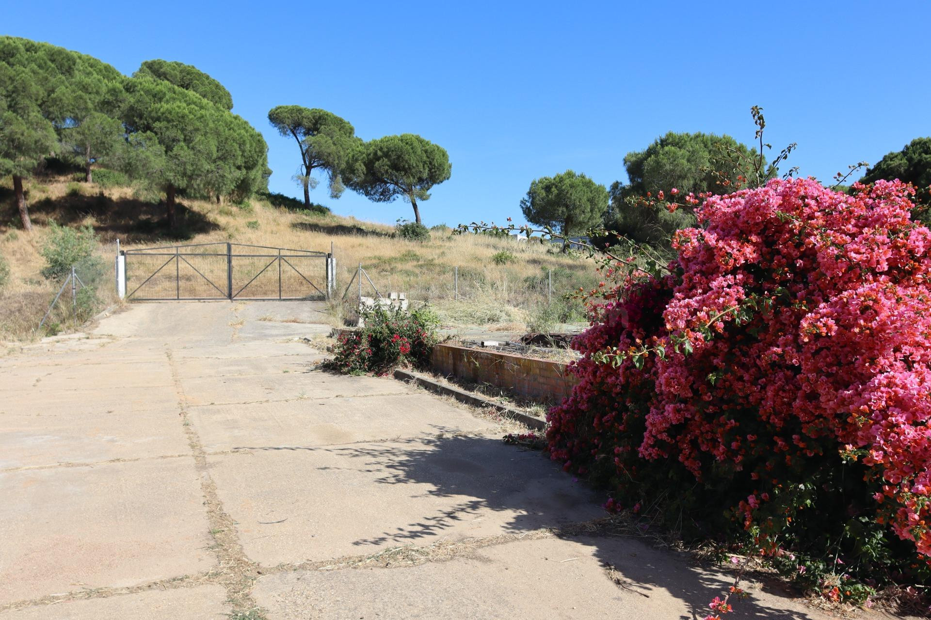 Tradicional casa de campo con amplio terreno y piscina en El - foto 5