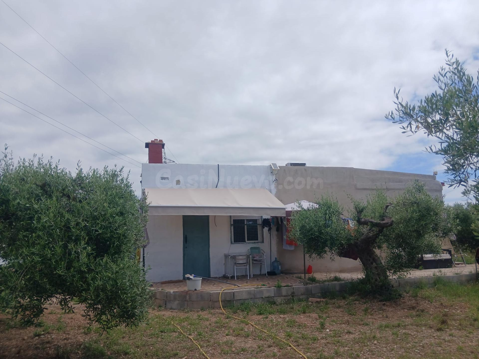 Finca rústica con dos viviendas, olivar, naranjos y energía solar
