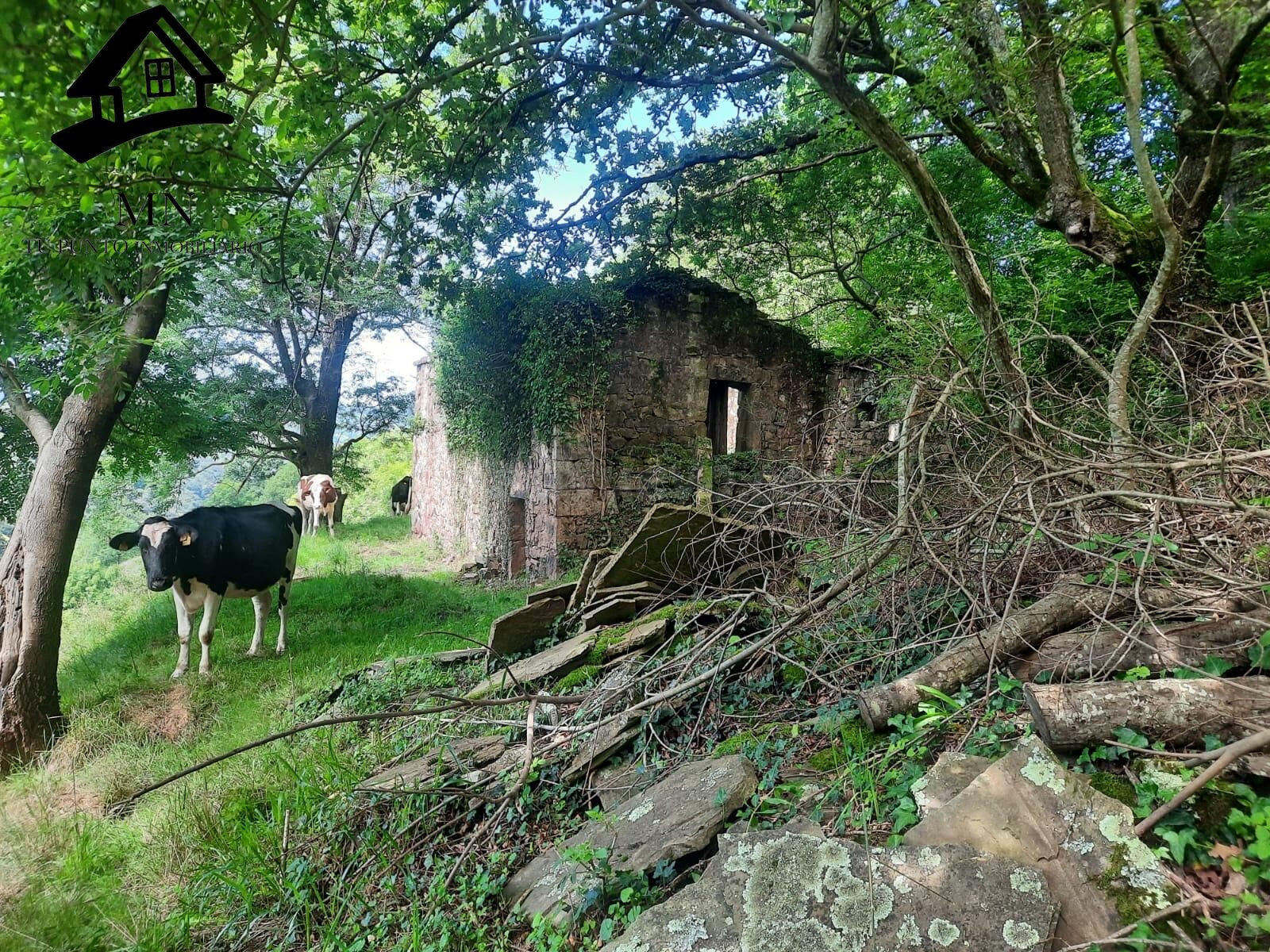 Cabaña tradicional de piedra con gran finca de 9.710 m2 en el Paraje de Campillo, Selaya