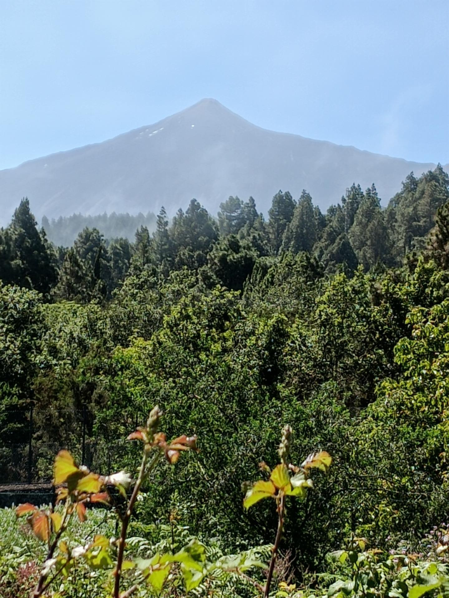 TERRENO RÚSTICO EN VENTA EN LLANO EN CERDO GORDO – LA MONTAÑ - foto 4