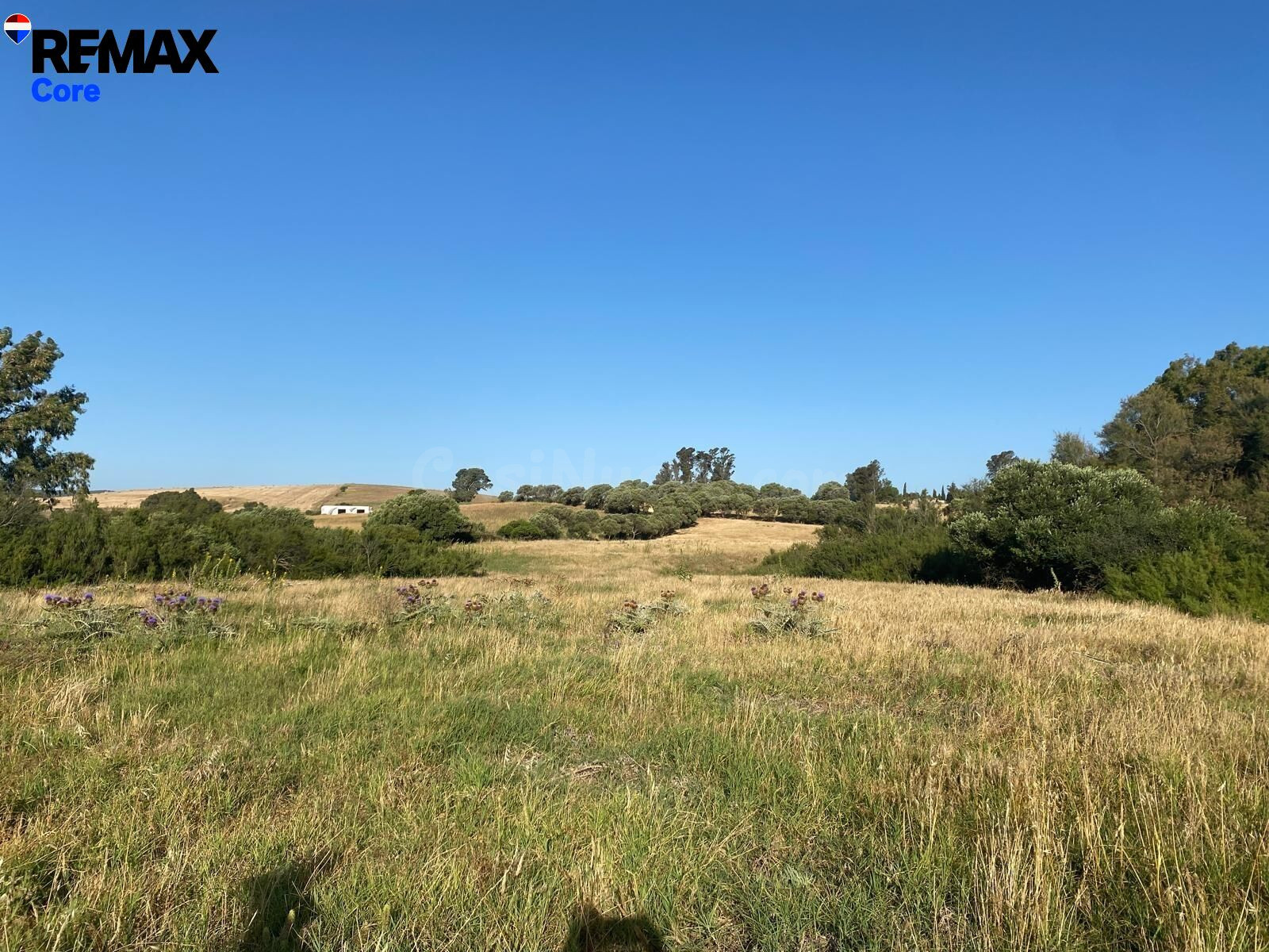 Finca Rústica de 5 Ha con Construcción Registrada – Finca en Medina Sidonia, termino municipal