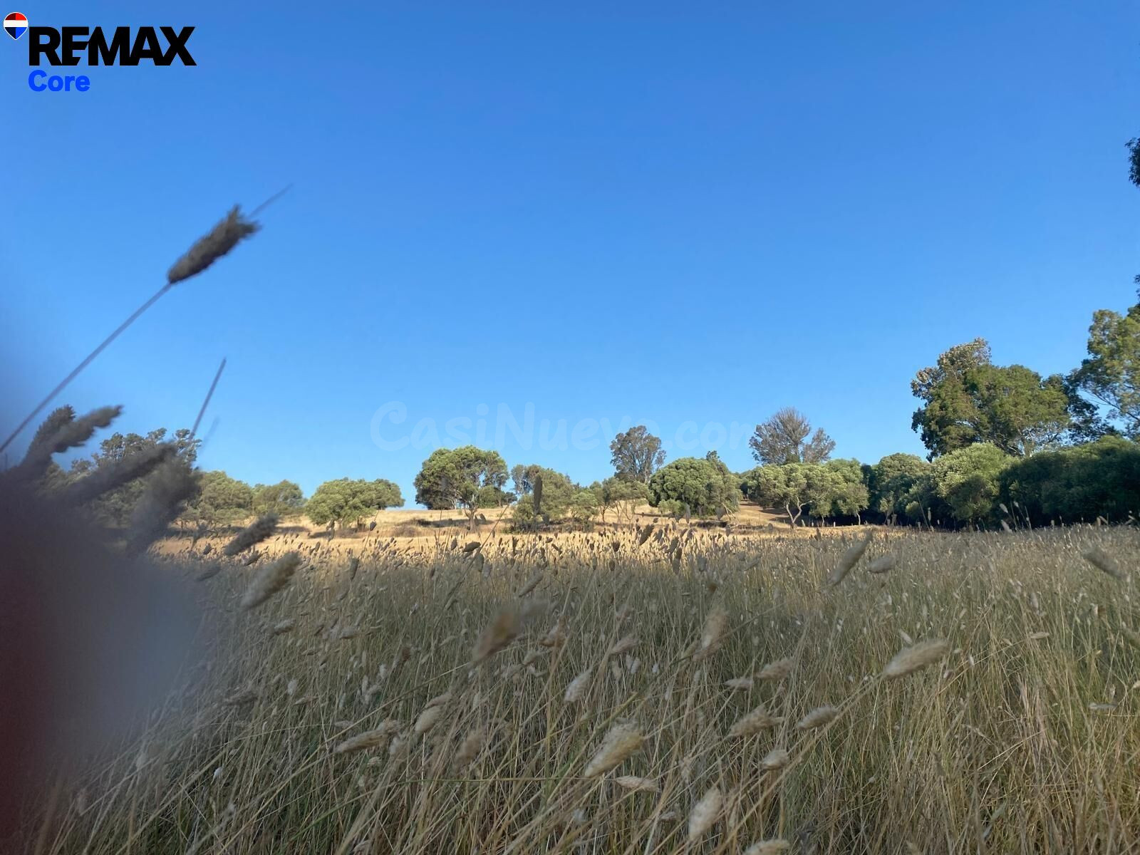 Finca Rústica de 5 Ha con Construcción Registrada – Finca en - foto 3