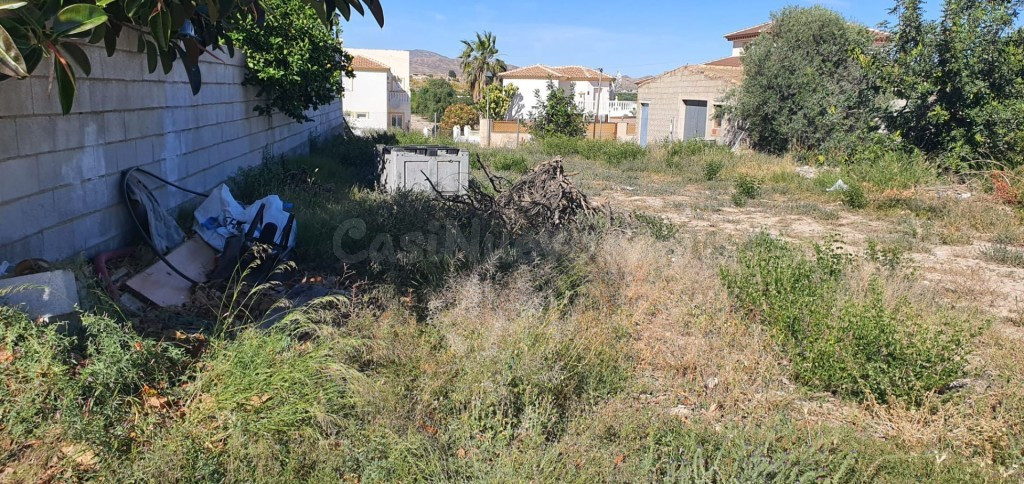 Solar residencial en Venta en Cantoria Almería - foto 2