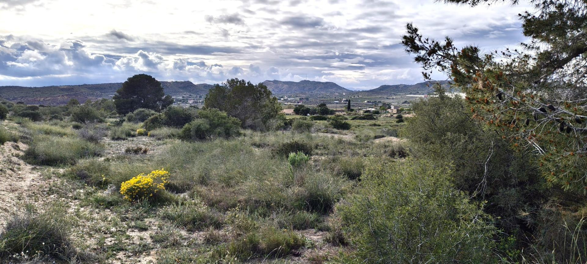 Terreno  en La Galia-Bonavista
