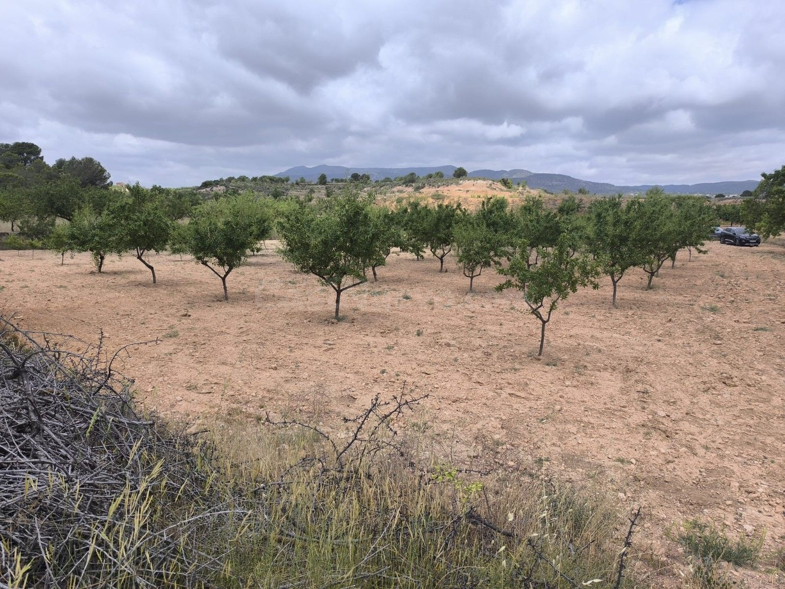 Parcela en venta - Comunidad valenciana