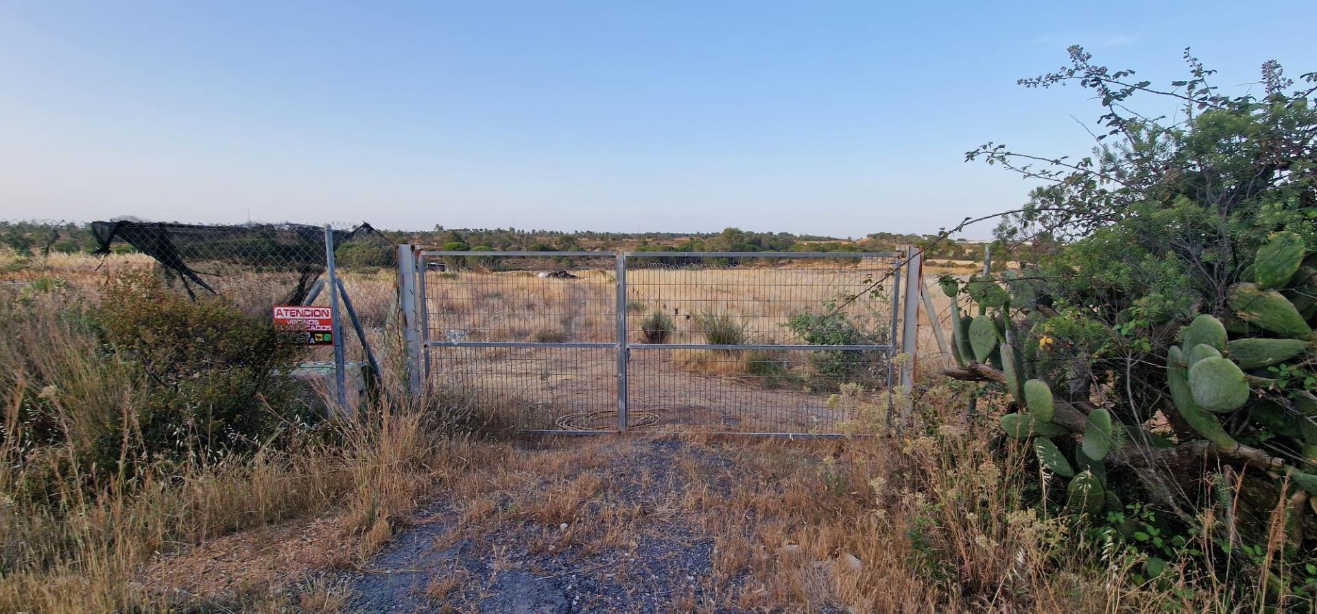 Finca Rústica de Regadío de 6 Hectáreas en Lepe – Excelente Acceso junto a la A-49