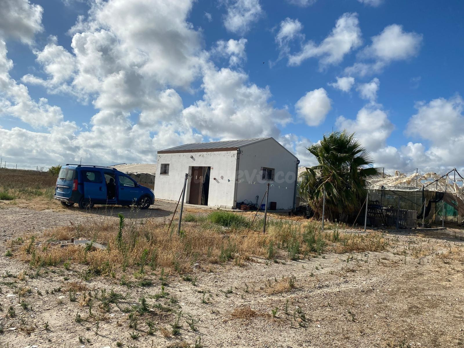 FINCA RÚSTICA EN ROTA- ZONA "EL BERCIAL"