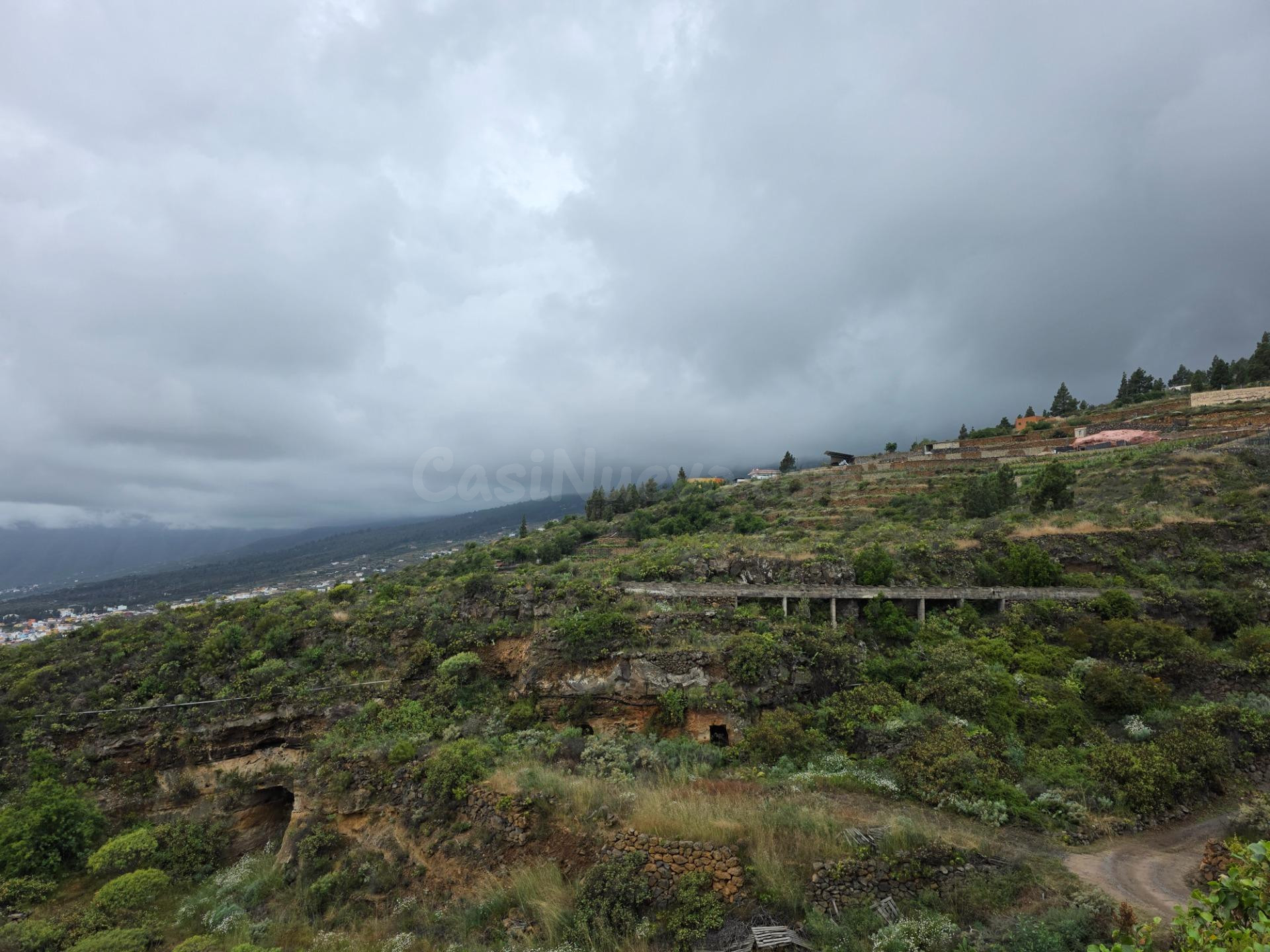 Finca rústica de 1.798 m2 en Arafo: Tu refugio de fin de semana en plena naturaleza