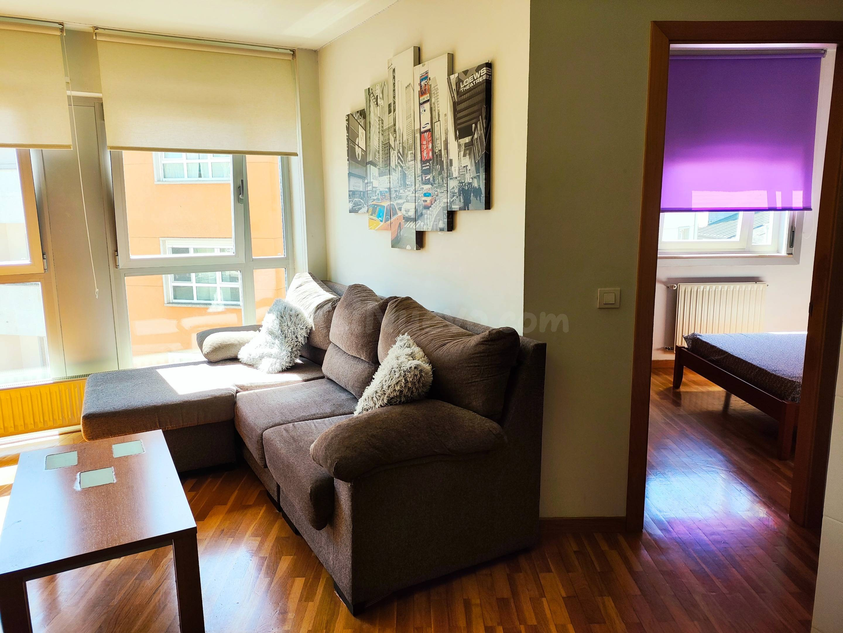 APARTAMENTO DE 1 DORMITORIO, TOTALMENTE AMUEBLADO, CON GARAJ - foto 4