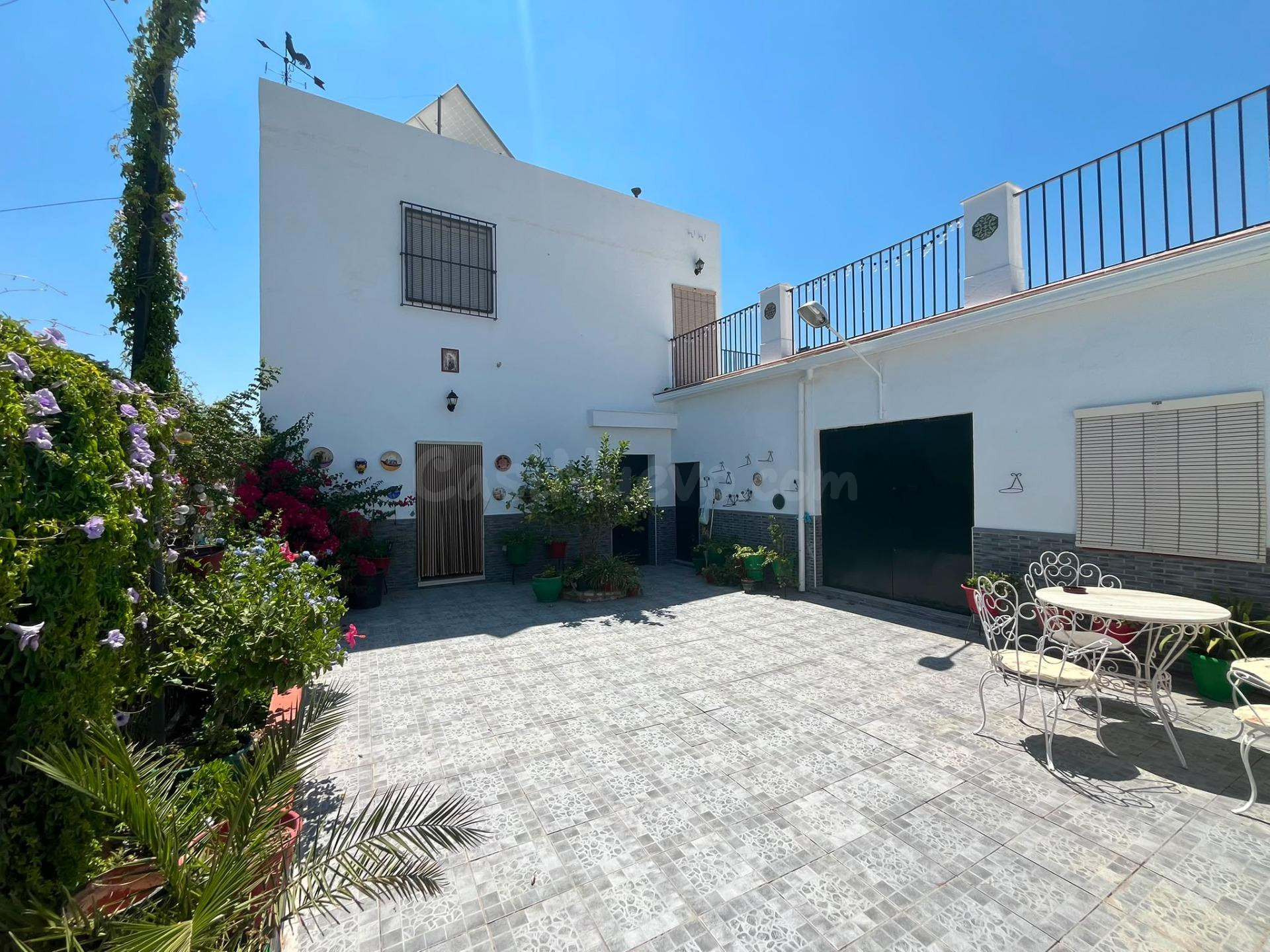 Casa de campo con olivos en producción, placas solares y amplias zonas exteriores.