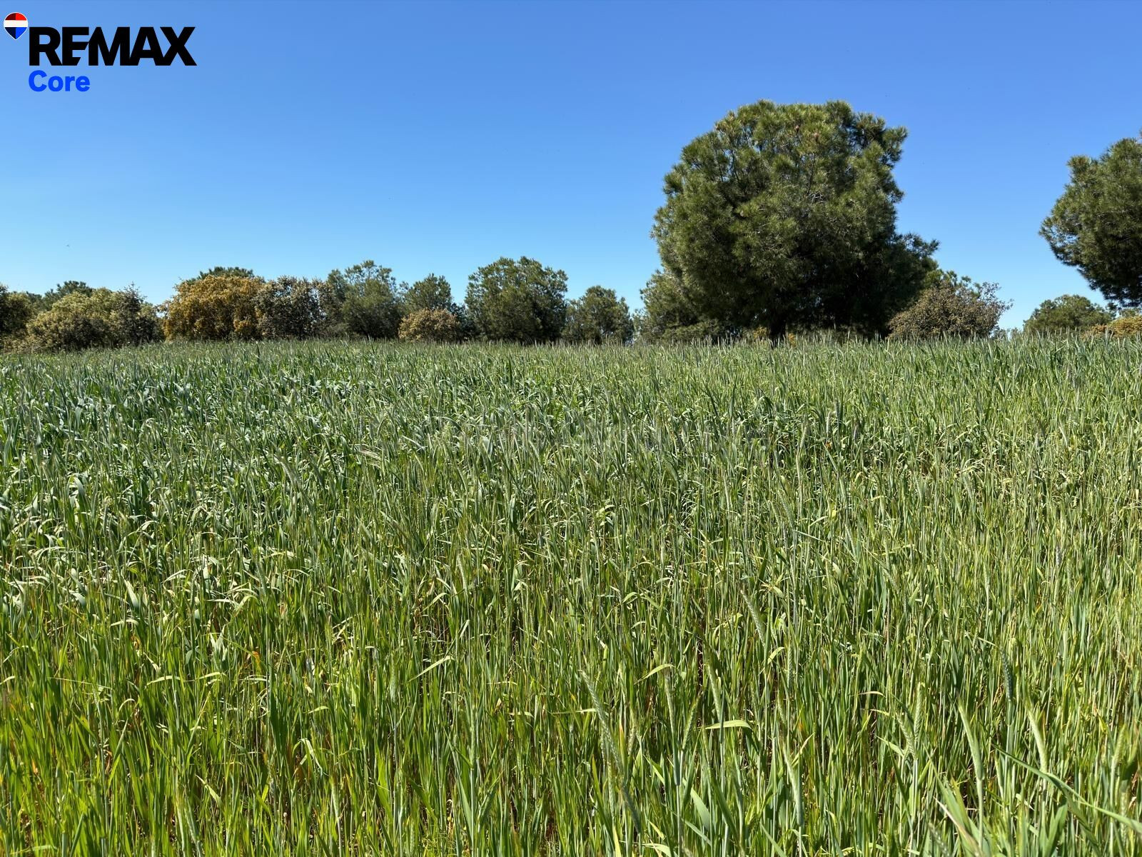 Extraordinaria Finca Ganadera Mixta de Alto Rendimiento - foto 4
