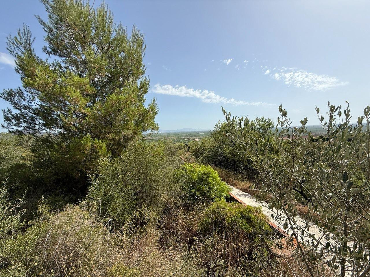 Terreno Rústico 264m² en venta - Costa del azahar - foto 2