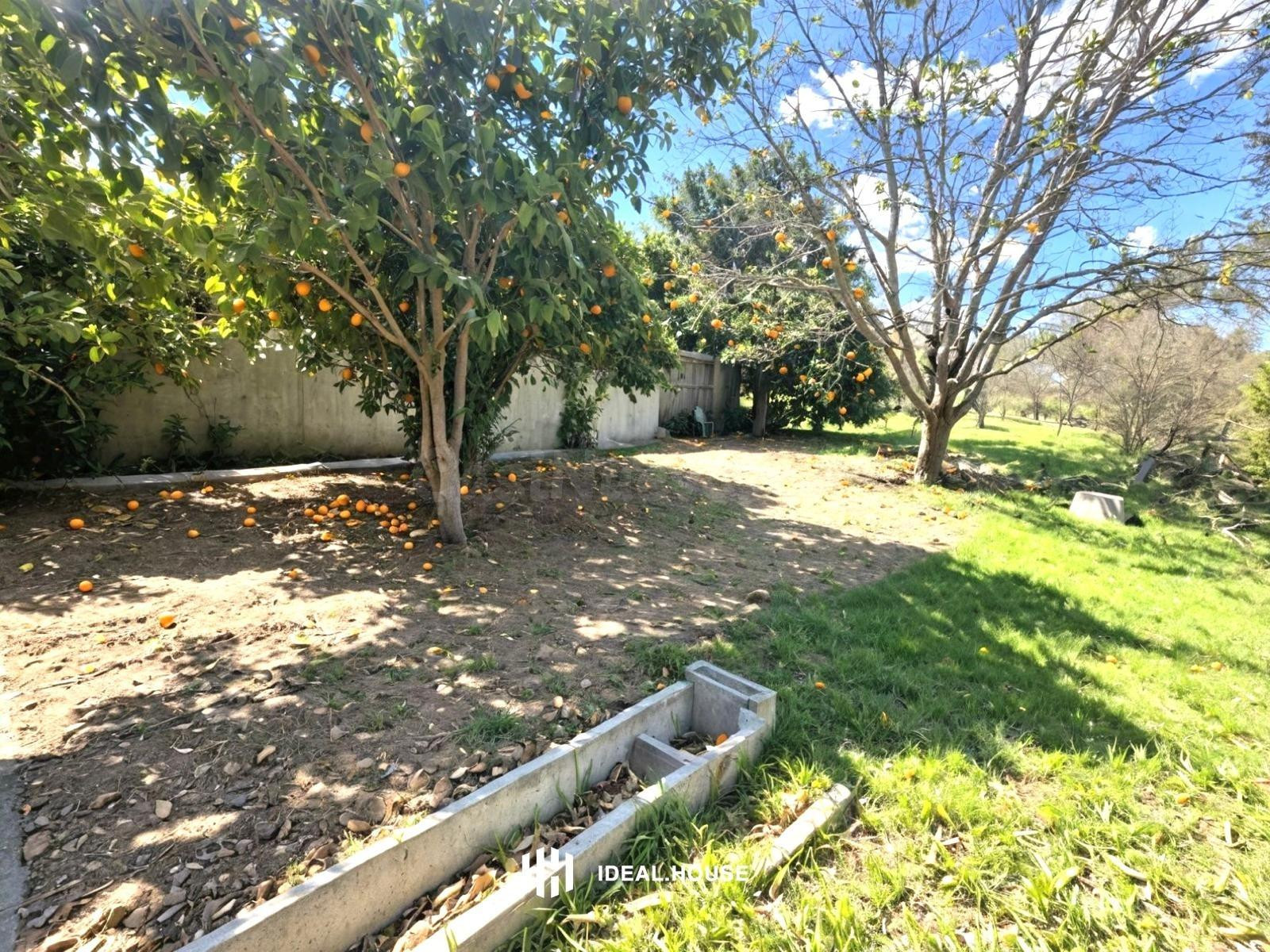 Casa con 4.000 m2 de parcela en Ribera de Molina | Espacio, privacidad y gran potencial